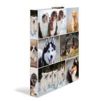 Motiv-Ringbuch A4 Karton 2D-Ring - Hunde