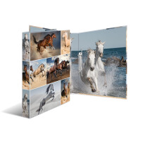 Motiv-Ringbuch A4 Karton 2D-Ring - Pferde