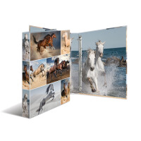 Motiv-Ringbuch A4 Karton 4D-Ring - Pferde