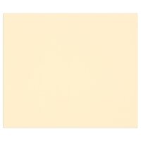 100Bl Tulipe 160g A4 elfenbein