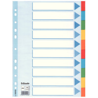Kartonregister Standard Blanko, A4, Karton, 10 Blatt, weiss