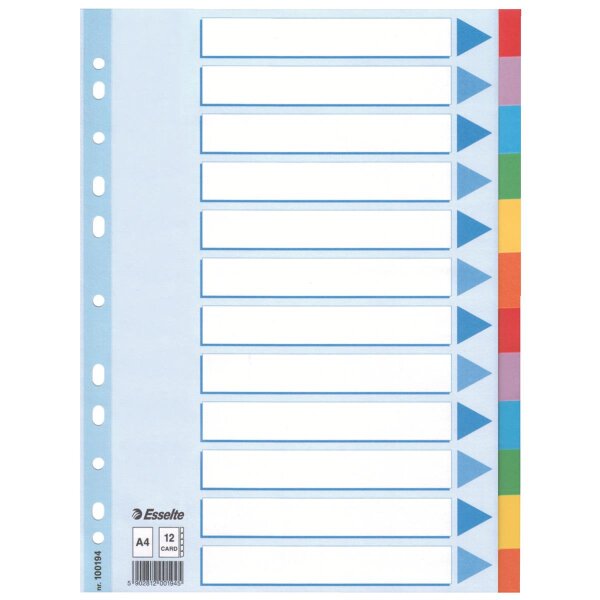 Kartonregister Standard Blanko, A4, Karton, 12 Blatt, weiss