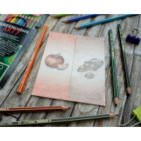 Buntstift GREENcolors - 24er Karton-Etui ARTY