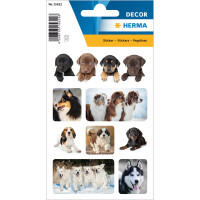 Schmuck-Etikett DECOR - Lieblingstiere Hundelieblinge