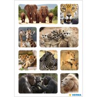 Schmuck-Etikett DECOR - Lieblingstiere Tiere Afrikas