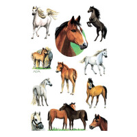 Z-Design Sticker KIDS Pferde, beglimmert