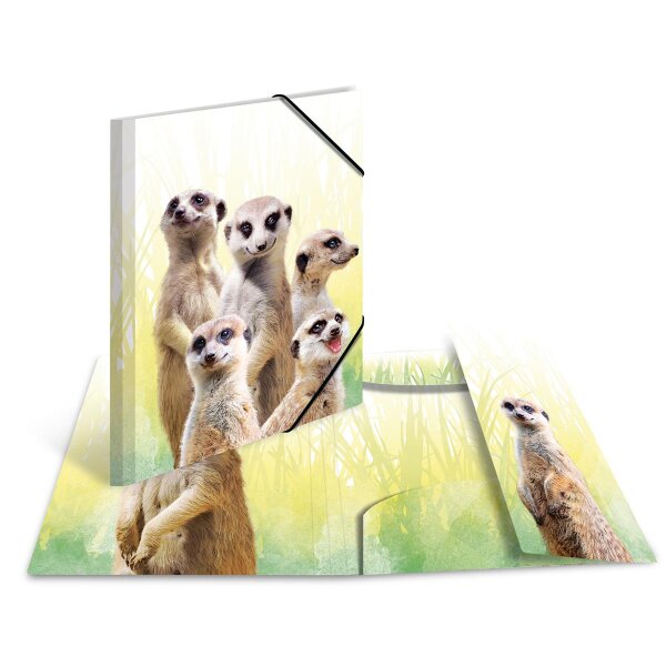 Sammelmappe, PP A4 exotische Tiere, Erdmännchen