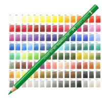 Artist color pencil Polychromos - all colors