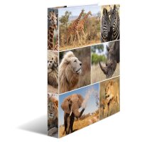 Motiv-Ringbuch A4 Karton 2D-Ring - Afrika Tiere