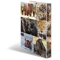 Motiv-Ringbuch A4 Karton 4D-Ring - Afrika Tiere