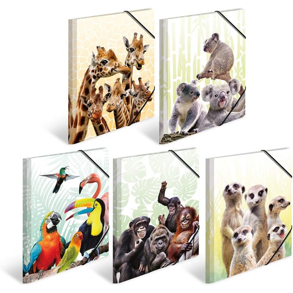 Assortment of folders Exotic Animals