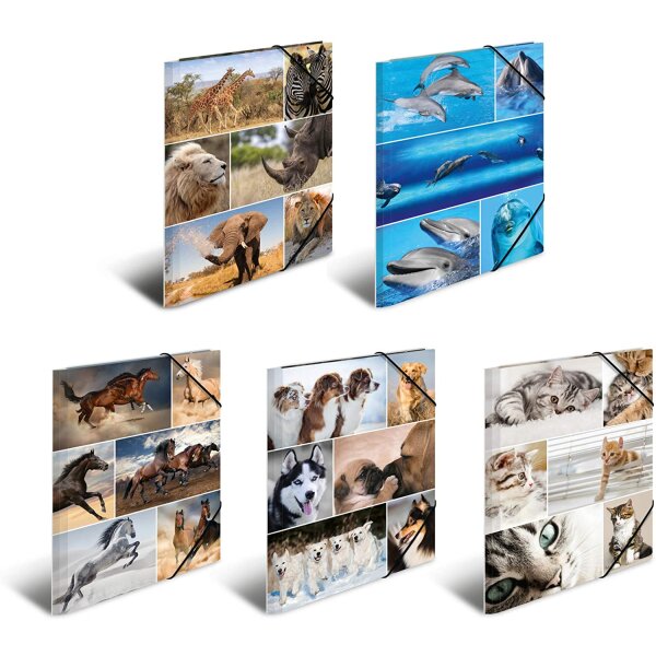 Assortment of cardboard folders - Animals
