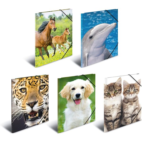 Assortment of PP folders - Animals