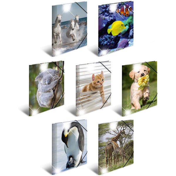 Assortiment de dossiers PP Glossy - Animaux