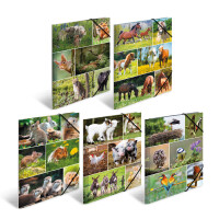 Sammelmappe A4 Karton - Tierwelten 10er Sortiment