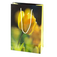 Geschenktüte A4 - Papier, gelbe Tulpe