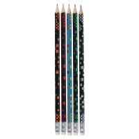 Bleistifte mit Radiergummi, 5 Stück