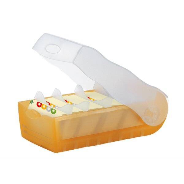 HAN Karteibox CROCO DIN A8 quer, Lernkartei mit 100...