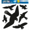 Etikett Warnvögel 30x30cm schwarz, wetterfeste Folie