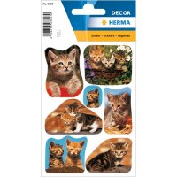 Schmuck-Etikett DECOR - Katzenfotos