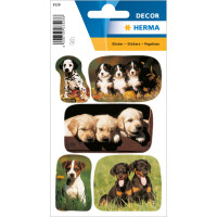 Schmuck-Etikett DECOR - Hundewelpenfotos