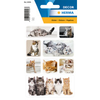 Schmuck-Etikett DECOR - Lieblingstiere -Katzenkinder