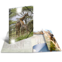 Sammelmappe A3 PP Glossy Tiere - Giraffe