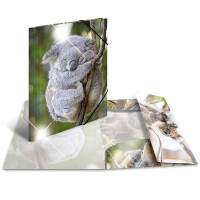 Sammelmappe A4 PP Glossy Tiere - Koala