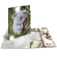 Sammelmappe A3 PP Glossy Tiere - Koala