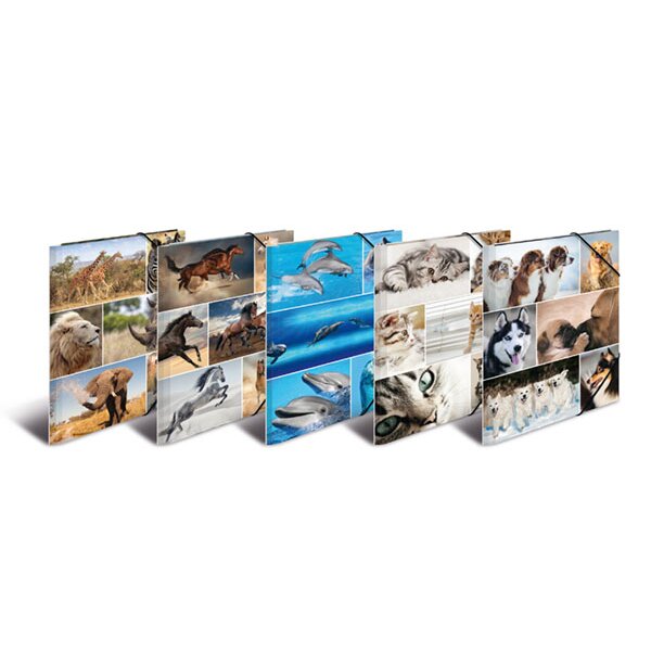 Eckspannmappe A4 Karton Animals - 10er Sortiment