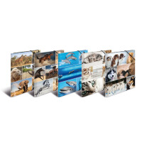 Eckspannmappe A4 Karton Animals - 10er Sortiment