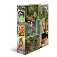 Motiv-Ordner A4 Sortiment Tierwelten - Waldtiere
