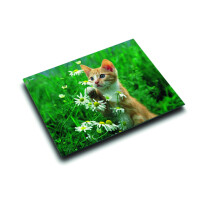 Läufer Motiv Schreibunterlage Katze mit Blume, 53x40...