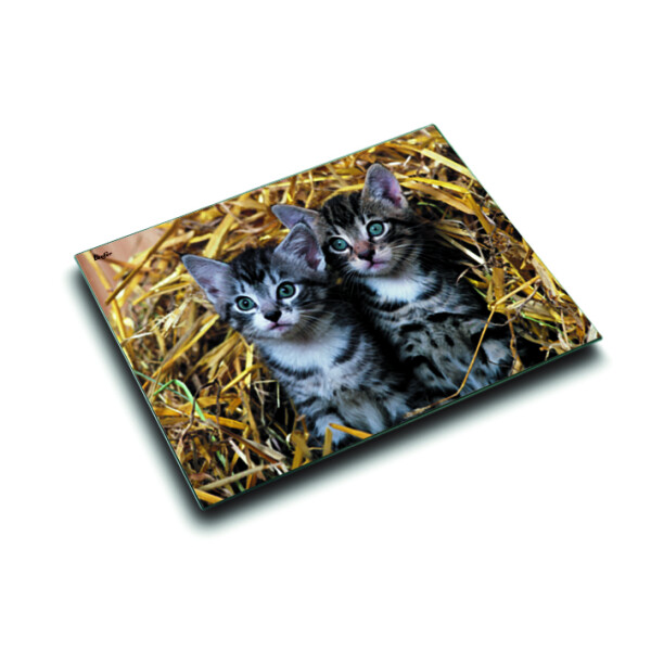 Läufer Motiv Schreibunterlage Katzen im Stroh, 53x40 cm -