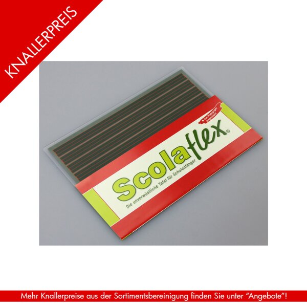 Schülertafel Scolaflex L1 1. Schuljahr Ba-Wü W1 259x177mm...