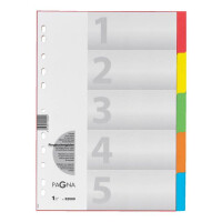 Register 5tlg. mit Deckblatt 5-farbig