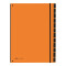 Pultordner Trend 12 Fächer orange