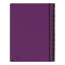 Pultordner Trend 12 Fächer lila