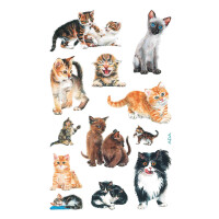FAN Sticker Katzenbabies Papier, Inhalt: 3 Bogen, abies