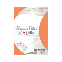 Briefumschlag Grain de Pollen C6, 5er Pack -  Kurcuma