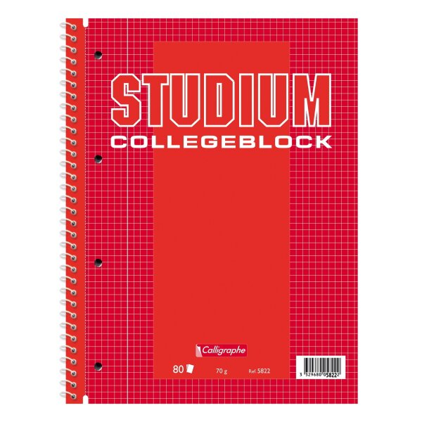 Clairfontaine Collegeblock School Basics kariert A4 80 Blatt 70g/qm, Randdruck