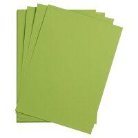 Fotokarton 300g/qm, 50 x 70cm, 125er Pack -  lindgrün