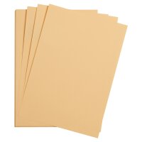 Fotokarton 300g/qm, 50 x 70cm, 125er Pack -  aprikos