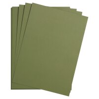 Fotokarton 300g/qm, 50 x 70cm, 125er Pack -  laubgrün