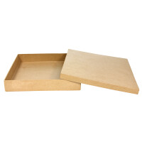 Box quadratisch 21x21x13,5cm