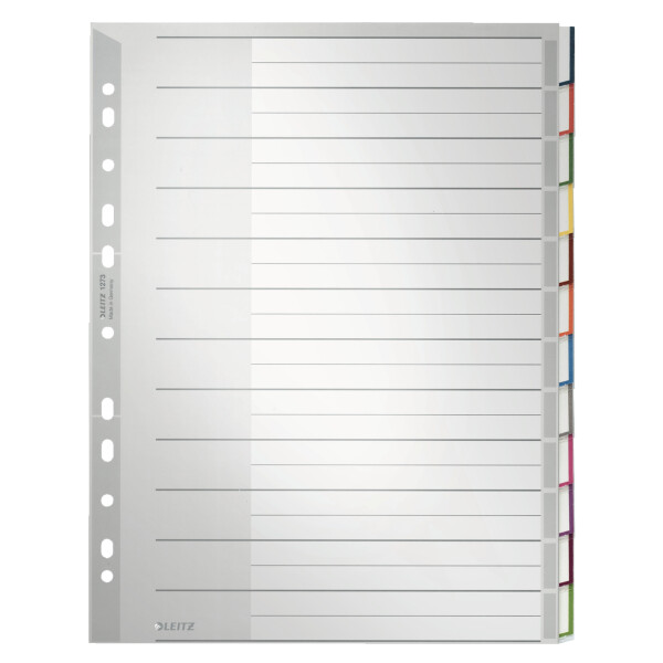 Kunststoff-Register, blanko A4 Überbreite, 12-teilig