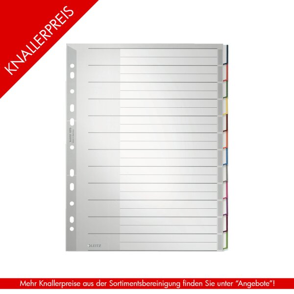 LEITZ Kunststoff-Register, blanko A4 Überbreite, 12-teilig