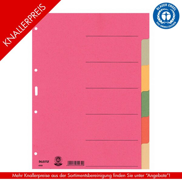 LEITZ Karton-Register extrastark, blanko A4, 6-teilig