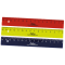 Lefty® L1-Flexi, Linkshänderlineal, 17 cm, flexibel, von rechts nach links laufende Skala, farbig sortiert