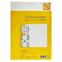 Schulzeichenkarton kariert A4 mit Rand und Schriftfeld,...